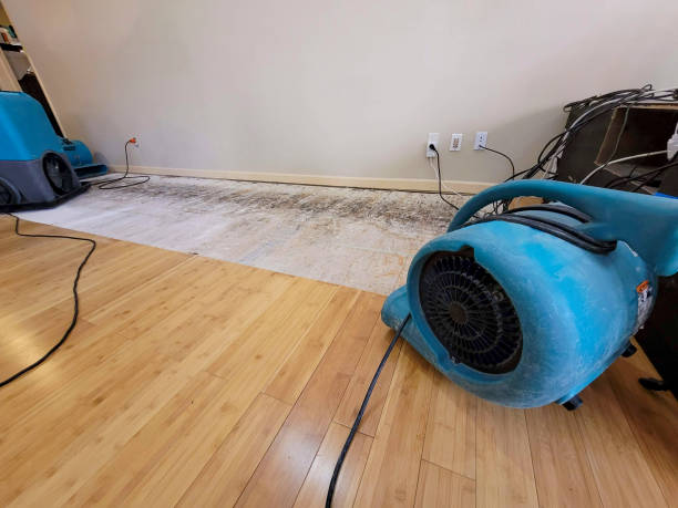 Professional Water Extraction technician working in Yorba Linda, CA